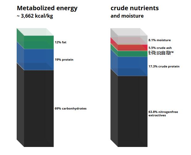 C 1013 Crude fibre deficient diet.JPG